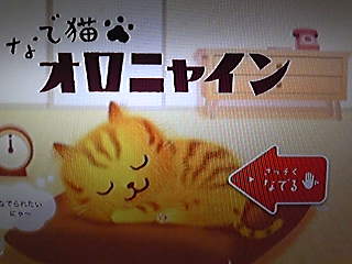 たまらん某あぷり