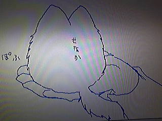 ぬこ