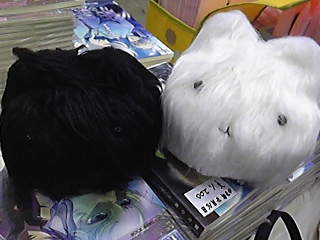 ぬこぬこ