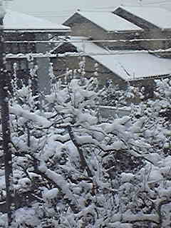 ふりすぎー