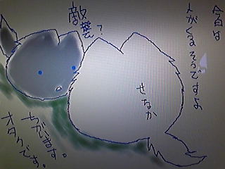 今晩ぬこ茶