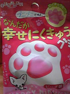 うっかり購入