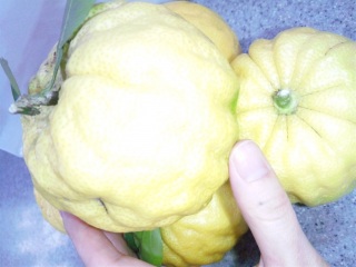 �傫�����Y��Ȃ䂸������Ă��܂����B