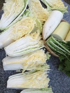 外で野菜解体作業中。