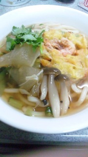 今日の夕飯は冬瓜うどん。