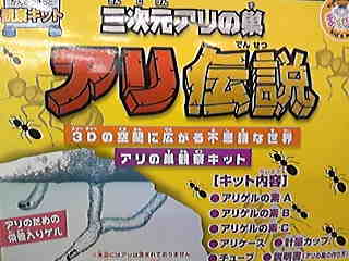 アリもたいへんだなあ